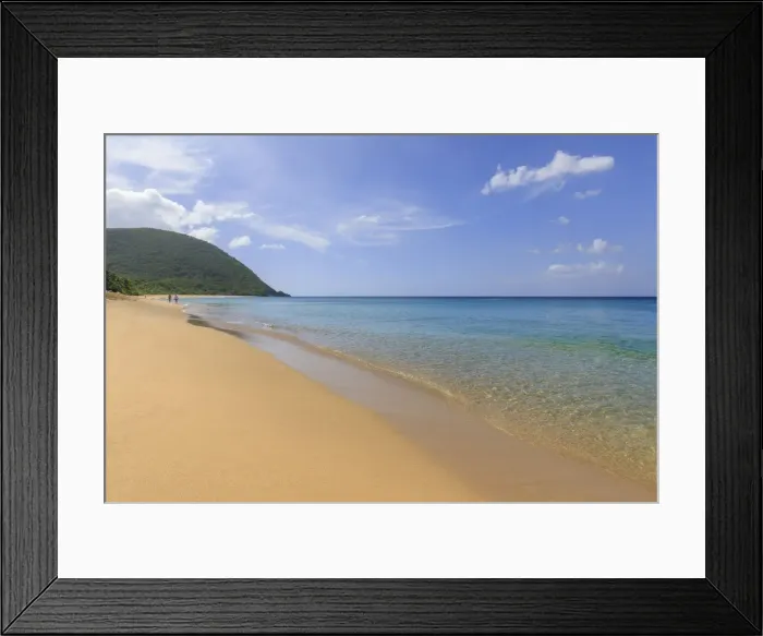 Framed Print : Tropical Grande Anse beach, palm trees, blue sea, golden sand, Deshaies, Basse Terre Framed Print : Tropical Grande Anse beach, palm trees, blue sea, golden sand, Deshaies, Basse Terre