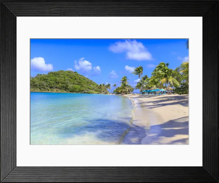 Framed Print : Beautiful white sand beach, turquoise sea, palm trees, Saltwhistle Bay, Mayreau Framed Print : Beautiful white sand beach, turquoise sea, palm trees, Saltwhistle Bay, Mayreau