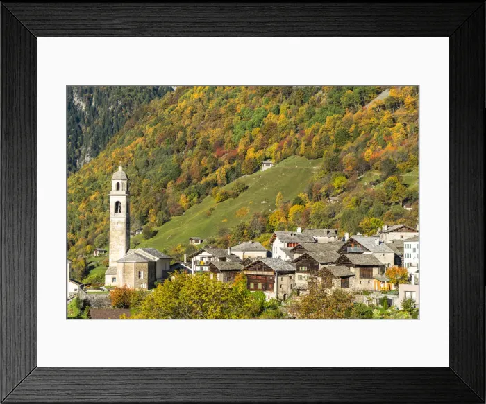 Framed Print : Larch trees and woods framing the village of Soglio in autumn, Val Bregaglia Framed Print : Larch trees and woods framing the village of Soglio in autumn, Val Bregaglia