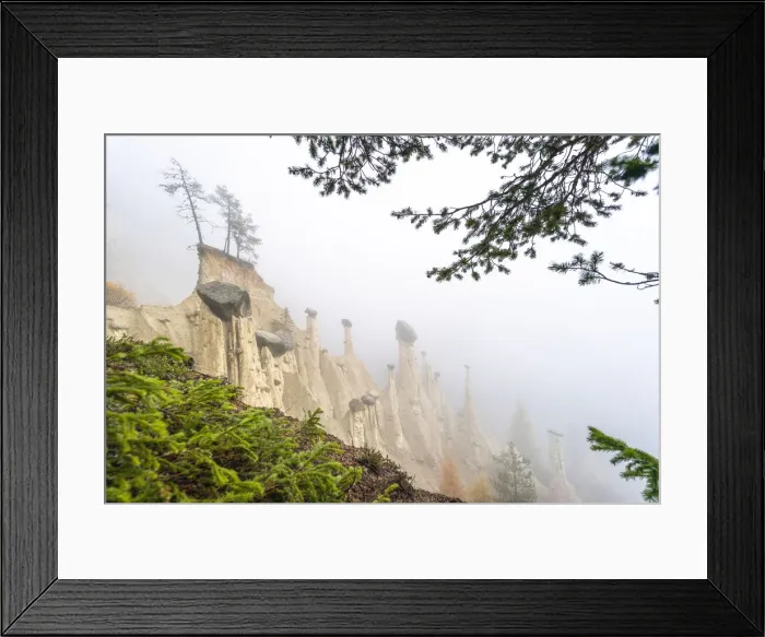 Framed Print : Pine tree branches in the nature park of the Earth Pyramids, Perca (Percha) Framed Print : Pine tree branches in the nature park of the Earth Pyramids, Perca (Percha)