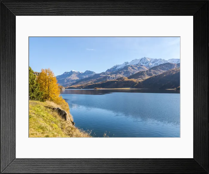 Framed Print : Autumn colors surrounding the clear Lake Sils, Maloja, Upper Engadine
