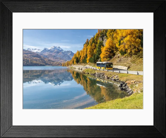 Framed Print : Yellow bus travelling on shores of Lake Silvaplana in autumn, St