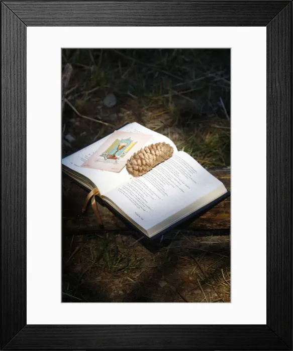 Framed Print : Bible with pine cone, Haute Savoie, France, Europe Framed Print : Bible with pine cone, Haute Savoie, France, Europe