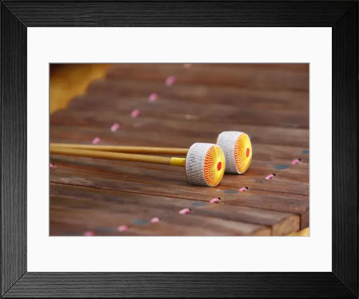 Framed Print : Lanad, Lao xylophone, Paris, France, Europe Framed Print : Lanad, Lao xylophone, Paris, France, Europe