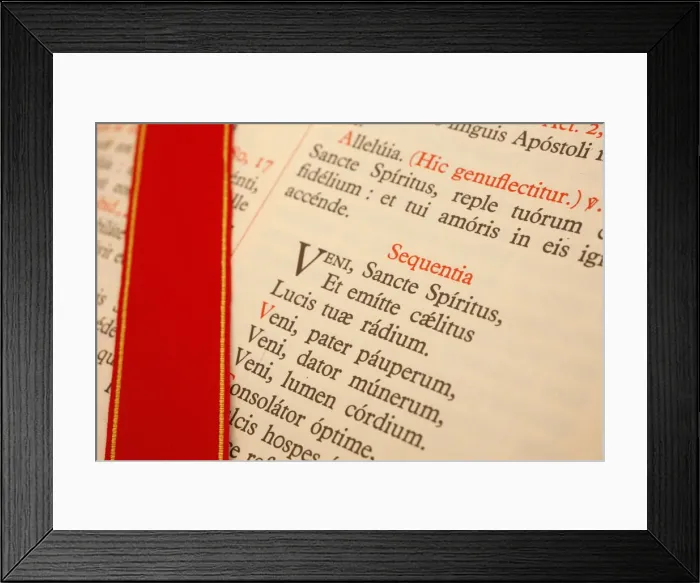Framed Print : Latin Missal at a traditionalist Catholic pilgrimage, Paris, France, Europe Framed Print : Latin Missal at a traditionalist Catholic pilgrimage, Paris, France, Europe
