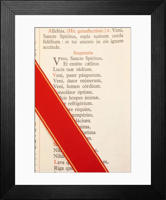 Framed Print : Latin Missal at a traditionalist Catholic pilgrimage, Paris, France, Europe Framed Print : Latin Missal at a traditionalist Catholic pilgrimage, Paris, France, Europe