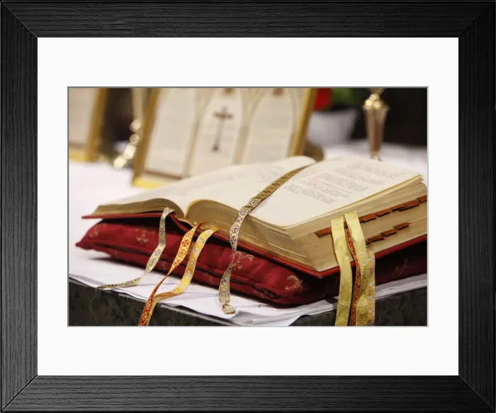 Framed Print : Mass in Chartres cathedral during traditionalist Catholic pilgrimage, Chartres Framed Print : Mass in Chartres cathedral during traditionalist Catholic pilgrimage, Chartres