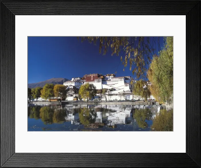 Framed Print : Potala Palace in Lhasa, UNESCO World Heritage Site, Lhasa, Tibet, China, Asia