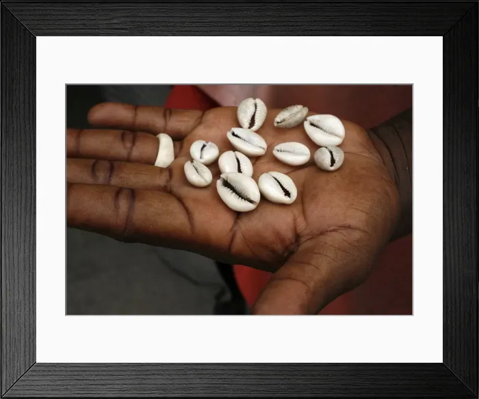 Framed Print : Shells used by fortune tellers, Brazzaville, Congo, Africa Framed Print : Shells used by fortune tellers, Brazzaville, Congo, Africa