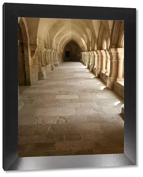 Fontenay Cistercian Abbey cloister, Marmagne, Doubs, Burgundy, France, Europe