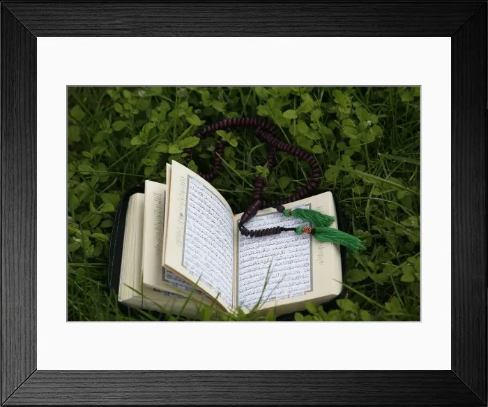 Framed Print : Koran and prayer beads, Chatillon-sur-Chalaronne, Ain, France, Europe