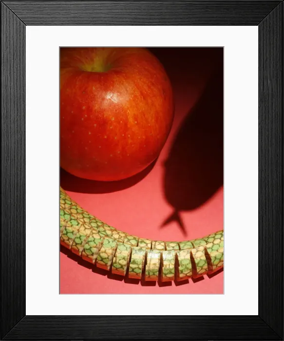 Framed Print : Temptation, Paris, France, Europe Framed Print : Temptation, Paris, France, Europe