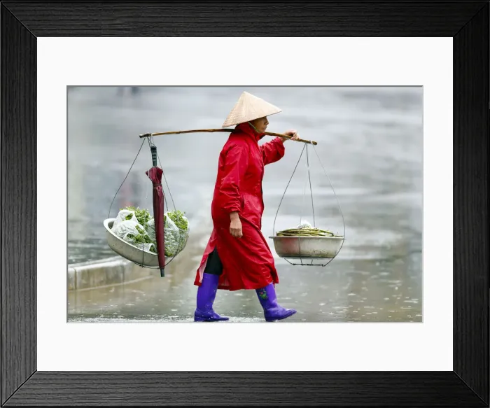 Framed Print : Monsoon (rainy) season, Sapa, Vietnam, Indochina, Southeast Asia, Asia Framed Print : Monsoon (rainy) season, Sapa, Vietnam, Indochina, Southeast Asia, Asia