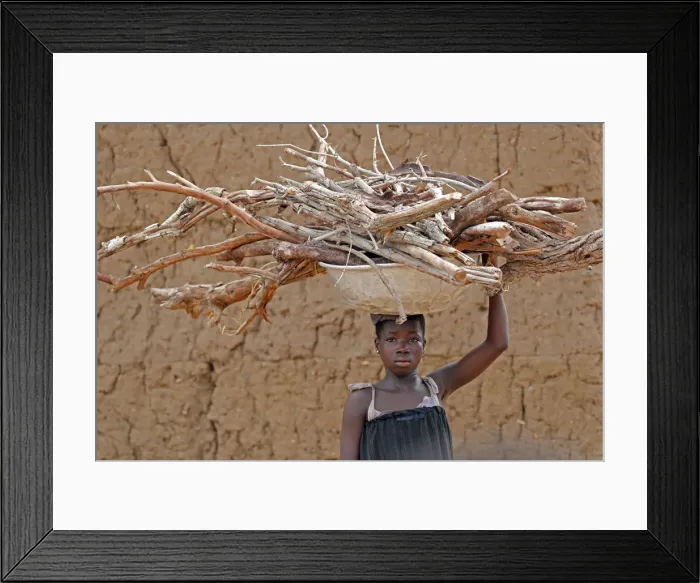 Framed Print : Young girl carrying firewood on her head, Datcha-Attikpaye, Togo, West Africa, Africa Framed Print : Young girl carrying firewood on her head, Datcha-Attikpaye, Togo, West Africa, Africa
