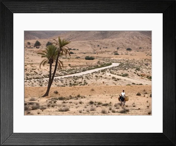 Framed Print : Boy on a donkey in a parched landscape, Gabes, Tunisia, North Africa, Africa Framed Print : Boy on a donkey in a parched landscape, Gabes, Tunisia, North Africa, Africa