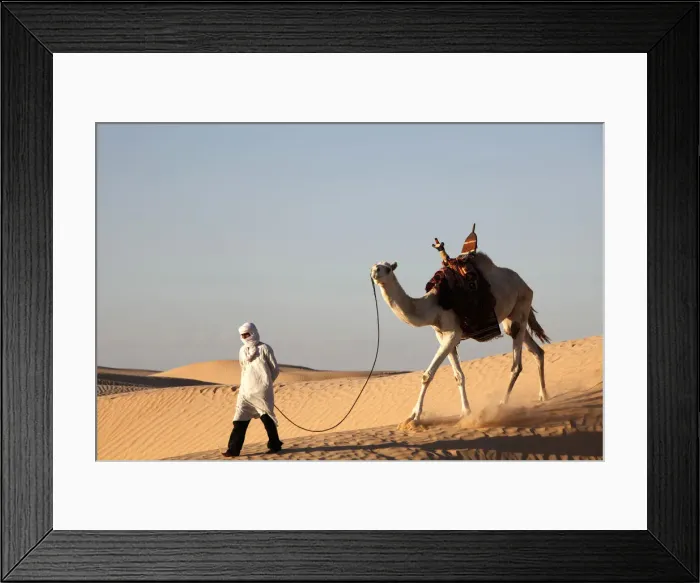 Framed Print : Camel driver in the Sahara desert, near Douz, Kebili, Tunisia, North Africa, Africa Framed Print : Camel driver in the Sahara desert, near Douz, Kebili, Tunisia, North Africa, Africa