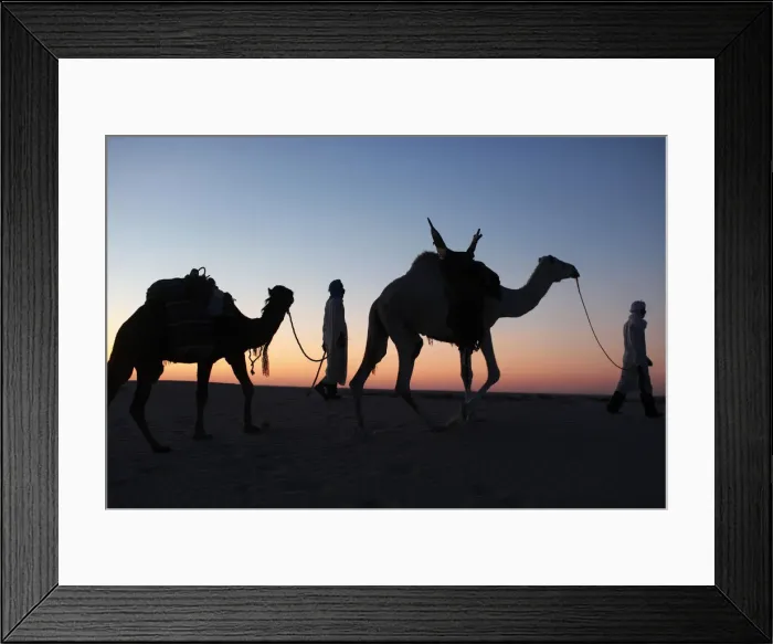 Framed Print : Camel drivers at dusk in the Sahara desert, near Douz, Kebili, Tunisia, North Africa Framed Print : Camel drivers at dusk in the Sahara desert, near Douz, Kebili, Tunisia, North Africa