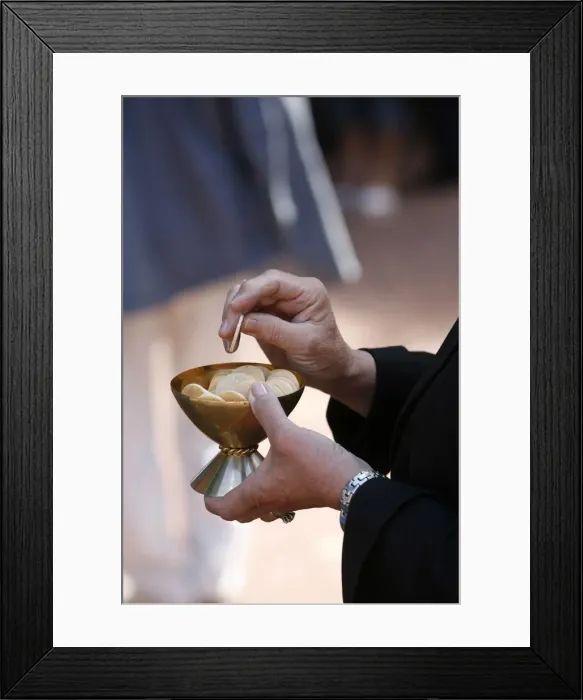 Framed Print : Holy Communion, Les Sauvages, Rhone, France, Europe Framed Print : Holy Communion, Les Sauvages, Rhone, France, Europe