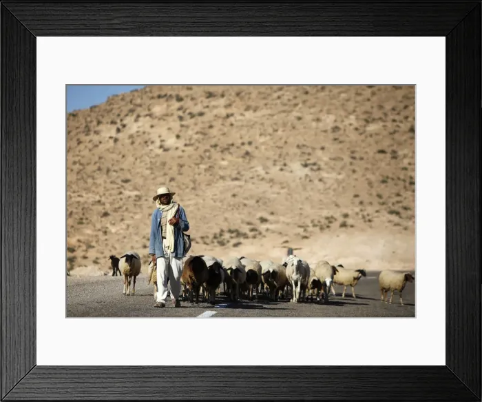 Framed Print : Shepherd driving a herd near Toujane village, Tunisia, North Africa, Africa Framed Print : Shepherd driving a herd near Toujane village, Tunisia, North Africa, Africa
