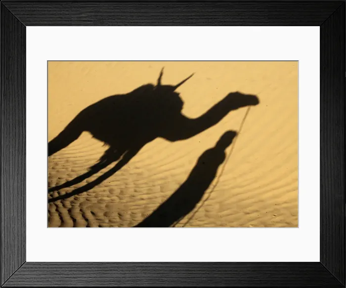 Framed Print : Camel drivers shadow in the Sahara desert, near Douz, Kebili, Tunisia, North Africa Framed Print : Camel drivers shadow in the Sahara desert, near Douz, Kebili, Tunisia, North Africa