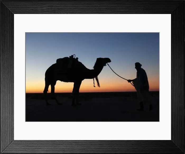 Framed Print : Camel driver at dusk in the Sahara desert, near Douz, Kebili, Tunisia, North Africa Framed Print : Camel driver at dusk in the Sahara desert, near Douz, Kebili, Tunisia, North Africa