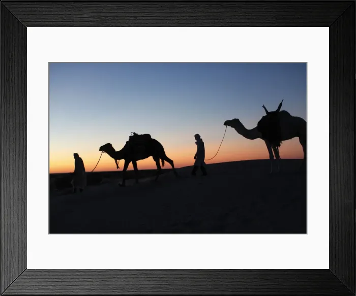Framed Print : Camel drivers at dusk in the Sahara desert, near Douz, Kebili, Tunisia, North Africa Framed Print : Camel drivers at dusk in the Sahara desert, near Douz, Kebili, Tunisia, North Africa