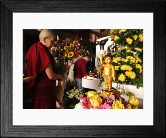 Framed Print : Wesak (Buddhas birthday, awakening and nirvana) celebration at the Great Buddhist Framed Print : Wesak (Buddhas birthday, awakening and nirvana) celebration at the Great Buddhist