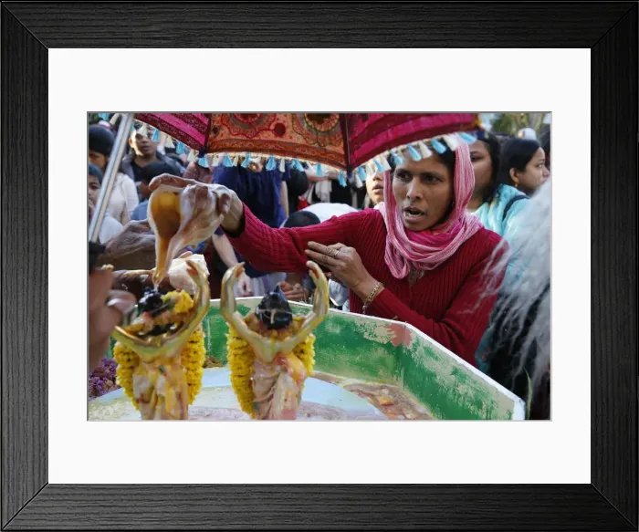 Framed Print : Gaura Purnima celebration, Sarcelles, Val d Oise, France, Europe Framed Print : Gaura Purnima celebration, Sarcelles, Val d Oise, France, Europe