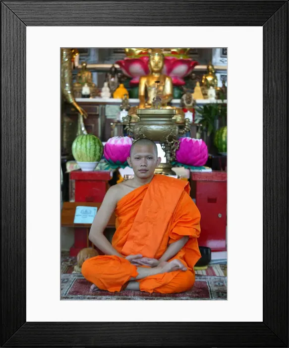 Framed Print : Monk, Tu An pagoda altar, Bonneville, Haute Savoie, France, Europe Framed Print : Monk, Tu An pagoda altar, Bonneville, Haute Savoie, France, Europe