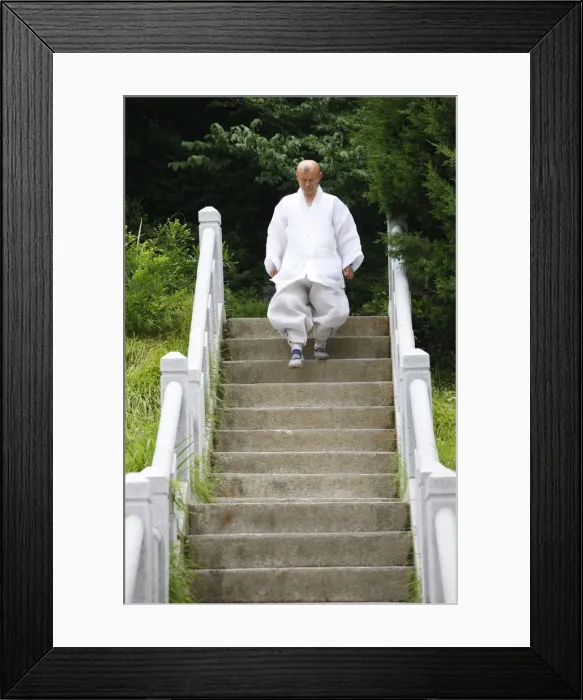 Framed Print : Buddhist monk, Bongeunsa temple, Seoul, South Korea, Asia Framed Print : Buddhist monk, Bongeunsa temple, Seoul, South Korea, Asia