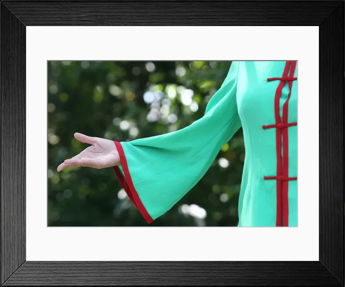 Framed Print : Qi Gong, Paris, France, Europe Framed Print : Qi Gong, Paris, France, Europe