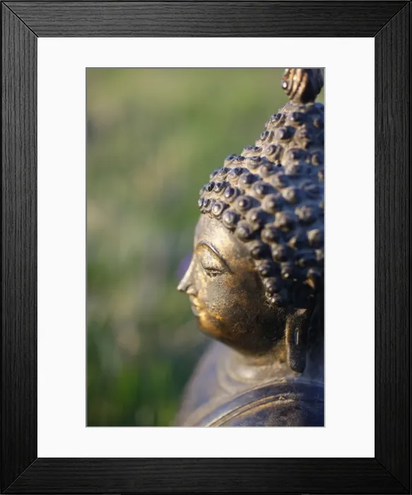 Framed Print : Thai Buddha, Haute Savoie, France, Europe Framed Print : Thai Buddha, Haute Savoie, France, Europe
