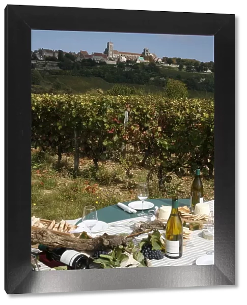 Wine in Vezelay, Yonne, Burgundy, France, Europe