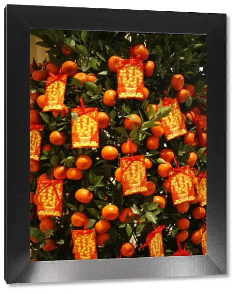 Tangerine good luck symbols, Chinese New Year decoration, Macao, China, Asia