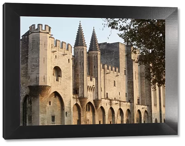 Palais des Papes, Avignon, UNESCO World Heritage Site, Vaucluse, France, Europe