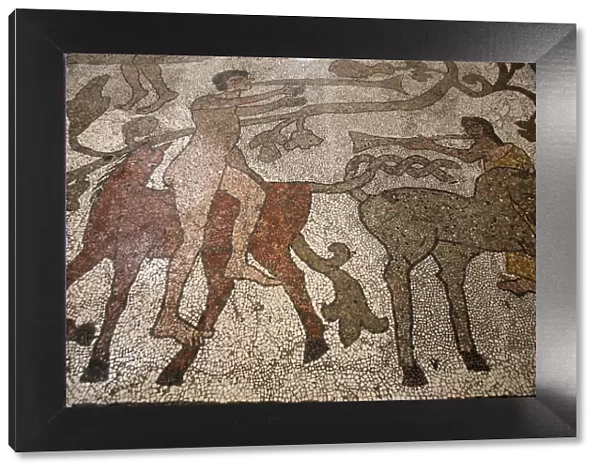 Mosaic of riders on the floor of the central nave, Otranto Duomo, Otranto, Lecce, Apulia