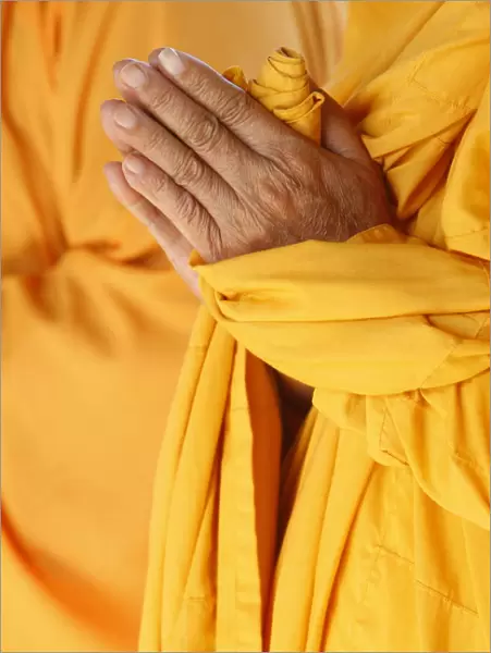 Praying Buddhist monk, Thiais, Vale de Marne, France, Europe