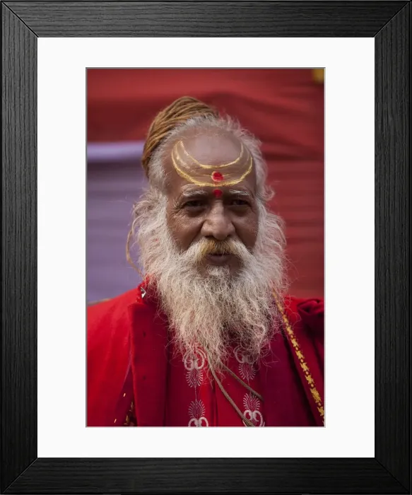 Framed Print : Sadhu at the Kumbh Mela in February 2010, Haridwar, Uttar Pradesh, India, Asia Framed Print : Sadhu at the Kumbh Mela in February 2010, Haridwar, Uttar Pradesh, India, Asia