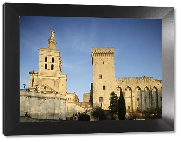 Cathedral and Palais des Papes, UNESCO World Heritage Site, Avignon, Vaucluse, France