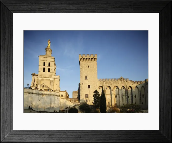 Framed Print : Cathedral and Palais des Papes, UNESCO World Heritage Site, Avignon, Vaucluse, France Framed Print : Cathedral and Palais des Papes, UNESCO World Heritage Site, Avignon, Vaucluse, France