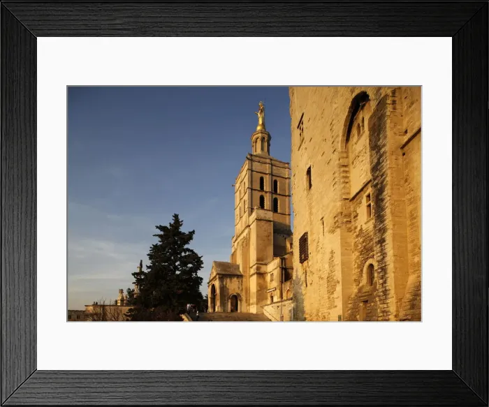 Framed Print : Cathedral and Palais des Papes, UNESCO World Heritage Site, Avignon, Vaucluse, France Framed Print : Cathedral and Palais des Papes, UNESCO World Heritage Site, Avignon, Vaucluse, France