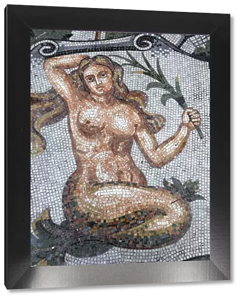 Astral sign of Virgo in mosaic in Galleria Umberto, Naples, Campania, Italy, Europe