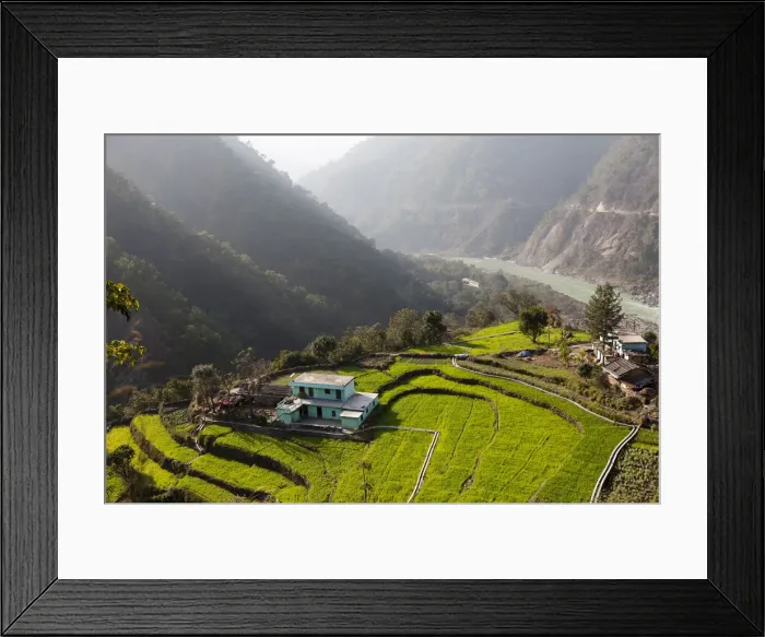 Framed Print : Farm among a green fields close to Rishikesh, Uttarkhand, India, Asia Framed Print : Farm among a green fields close to Rishikesh, Uttarkhand, India, Asia