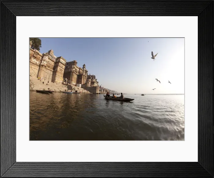 Framed Print : Gull flying over Ganga River in Varanasi, Uttar Pradesh, India, Asia Framed Print : Gull flying over Ganga River in Varanasi, Uttar Pradesh, India, Asia