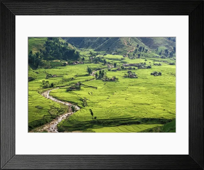Framed Print : Rice fields in Sapa region, North Vietnam, Vietnam, Indochina, Southeast Asia, Asia Framed Print : Rice fields in Sapa region, North Vietnam, Vietnam, Indochina, Southeast Asia, Asia