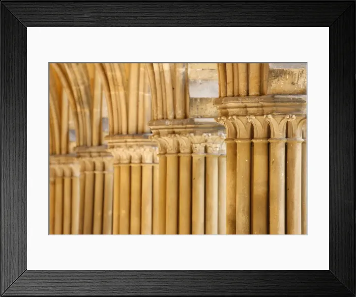 Framed Print : Capitals and pillars, Royaumont Abbey cloister, Asnieres-sur-Oise, Val d Oise, France Framed Print : Capitals and pillars, Royaumont Abbey cloister, Asnieres-sur-Oise, Val d Oise, France