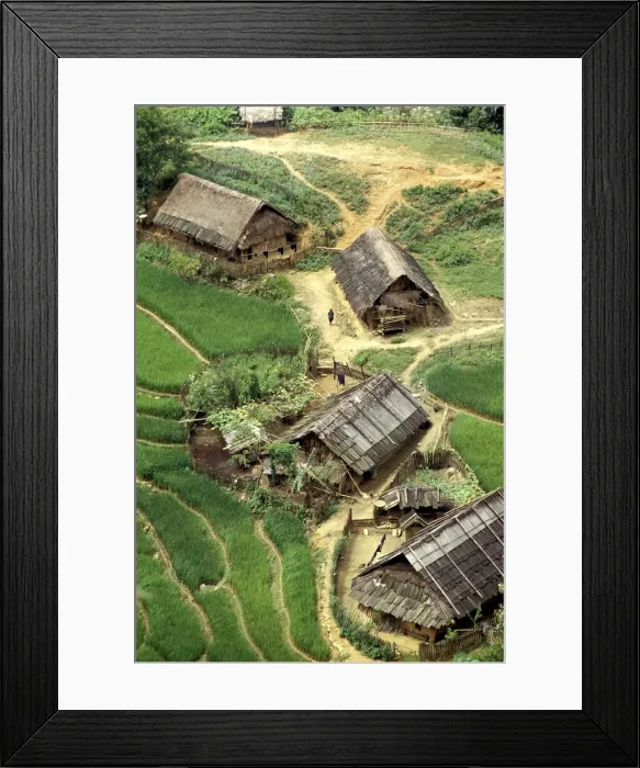 Framed Print : Rice fields in Sapa region, North Vietnam, Vietnam, Indochina, Southeast Asia, Asia Framed Print : Rice fields in Sapa region, North Vietnam, Vietnam, Indochina, Southeast Asia, Asia