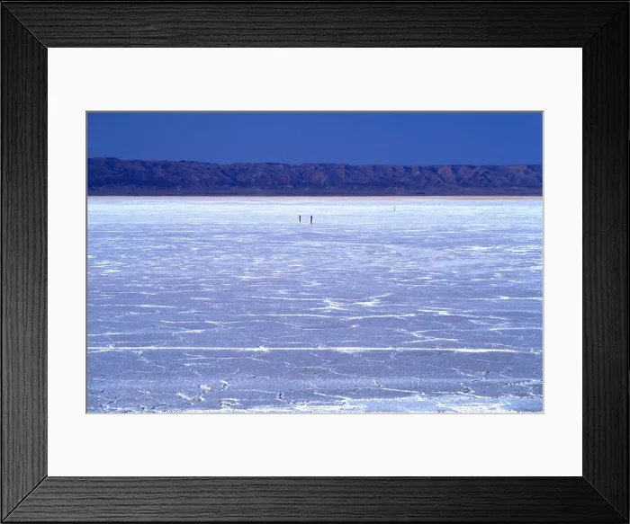 Framed Print : Chott el-Djerid, Tozeur, Tunisia, North Africa, Africa Framed Print : Chott el-Djerid, Tozeur, Tunisia, North Africa, Africa