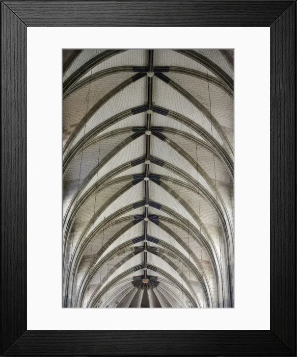 Framed Print : Sainte-Croix cathedral, Orleans, Loiret, France, Europe Framed Print : Sainte-Croix cathedral, Orleans, Loiret, France, Europe