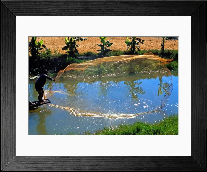 Framed Print : Inle Lake fisherman casting his net, Shan States, Myanmar, Asia Framed Print : Inle Lake fisherman casting his net, Shan States, Myanmar, Asia